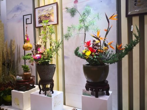 北京世園會省區(qū)市室內展品競賽第四次評審圓滿落幕，家居用品類別亮點紛呈